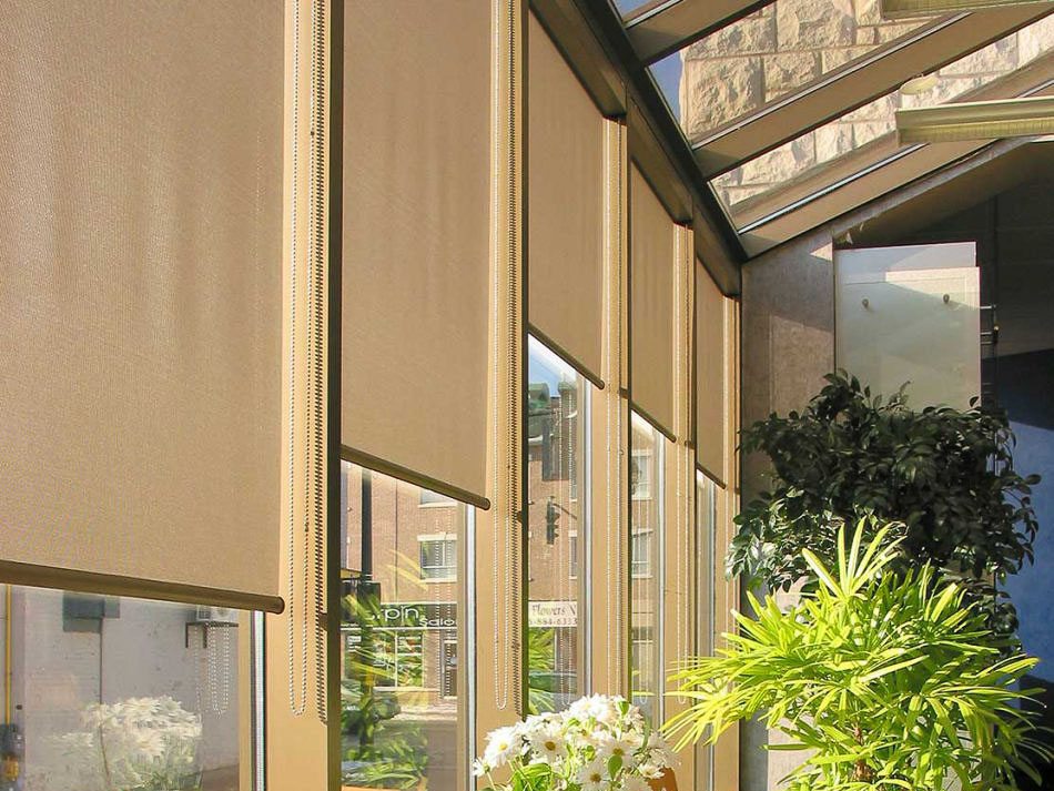 Sunscreen roller blinds filtering sunlight in a conservatory