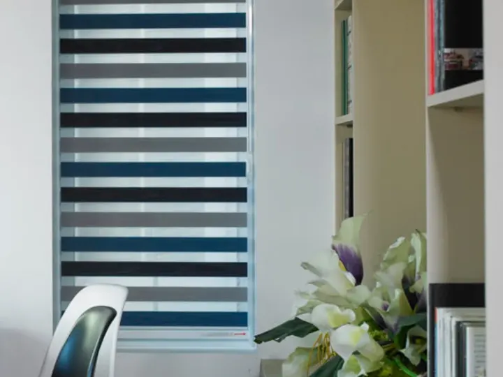 Zebra shade blinds
